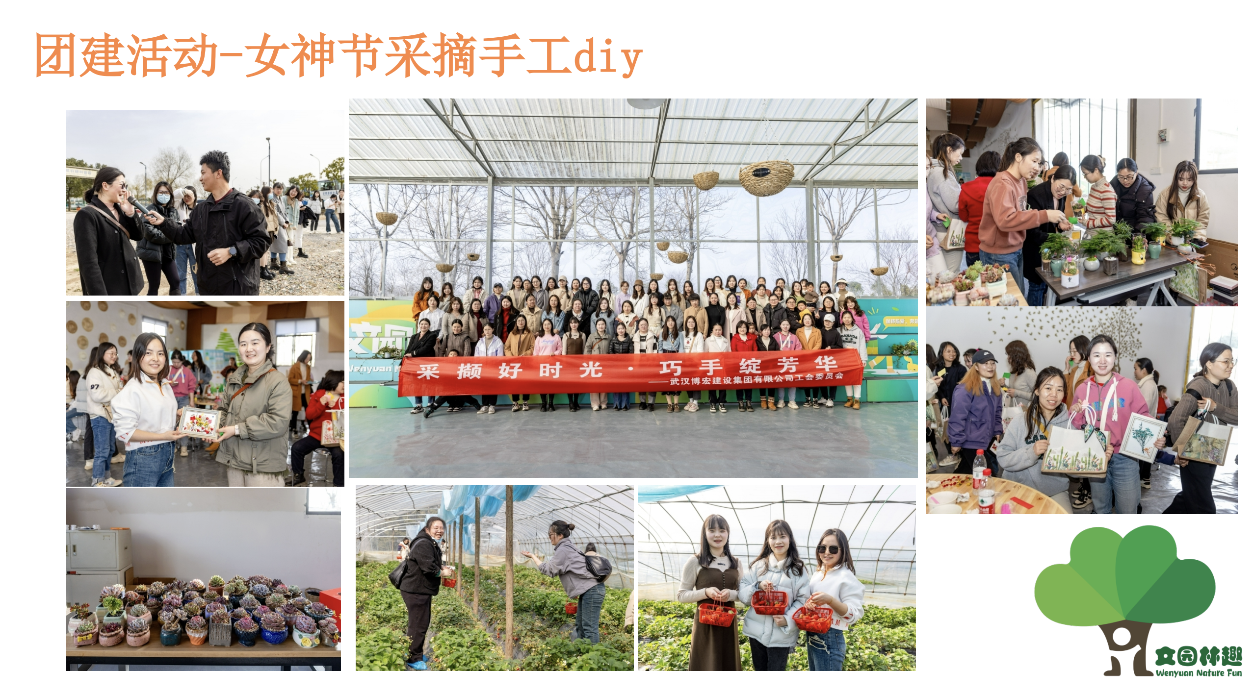 项目展示